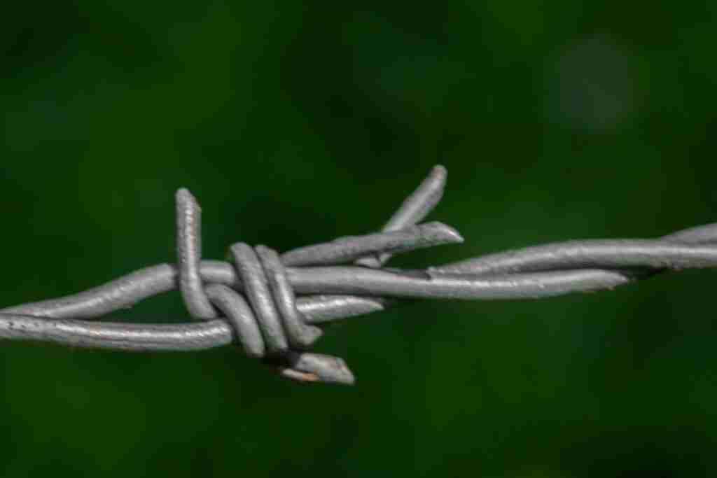 Photo Internal Links