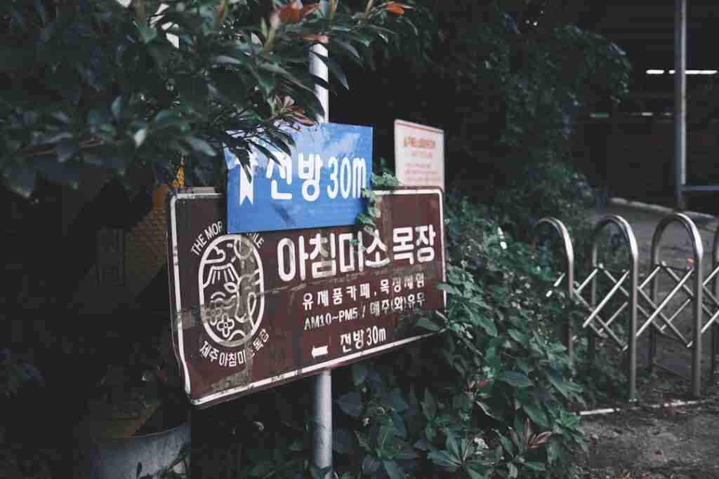 Photo Local SEO