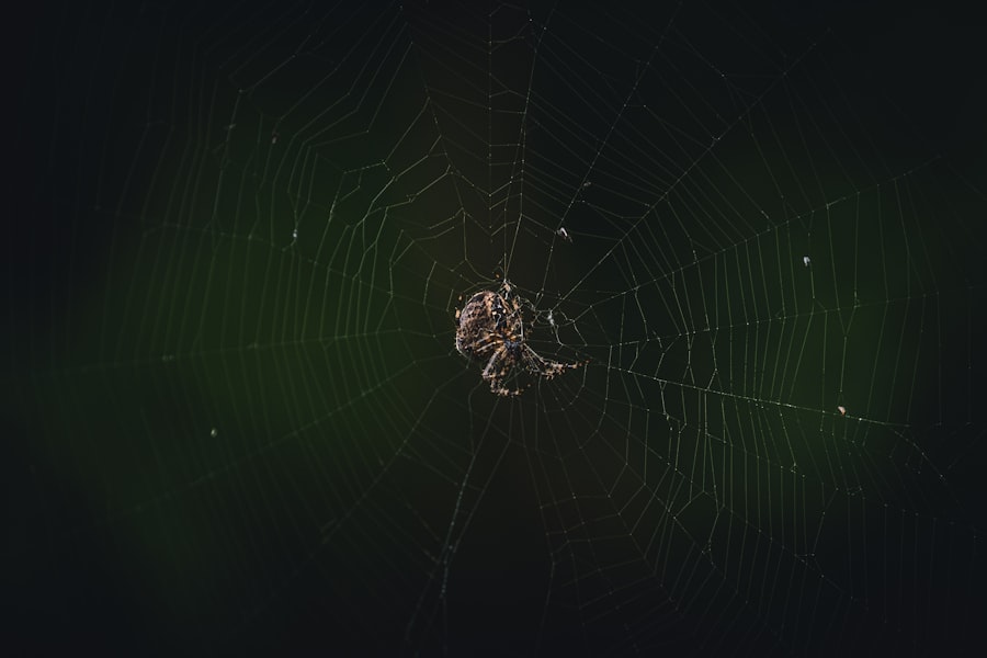 Core Web Vitals