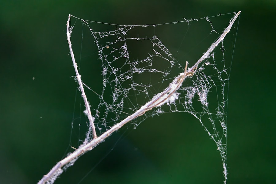 Photo Core Web Vitals